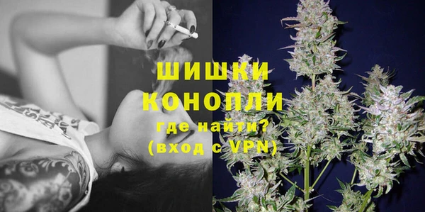 ECSTASY Богданович